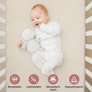 Organic Cotton Muslin Crib Sheets (Set of 2)